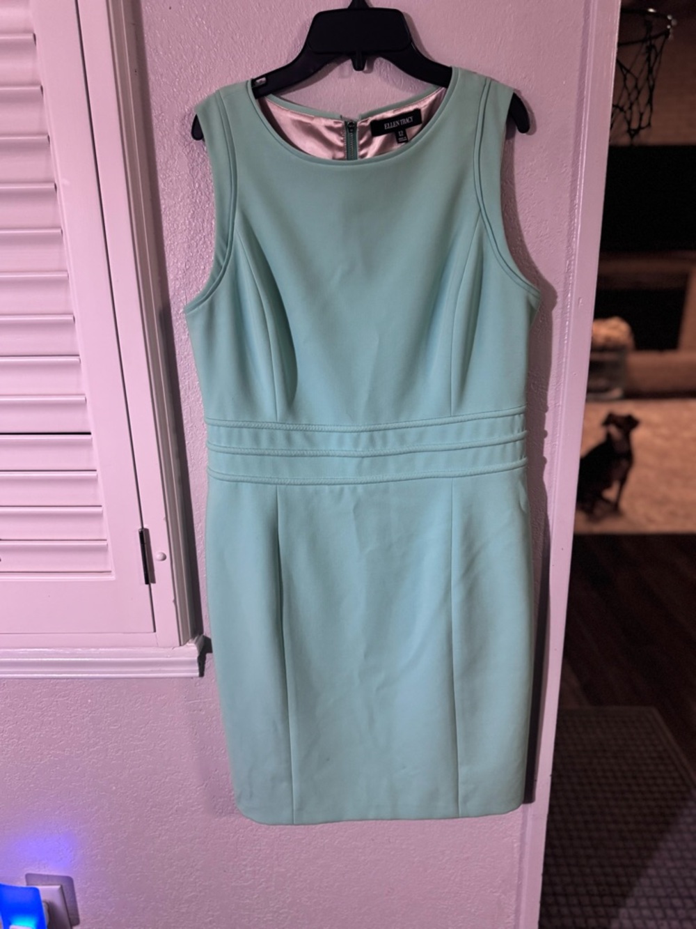 Ellen Tracy Seafoam Sleeveless Sheath Dress